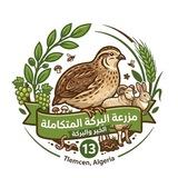 مزرعة البركة - Eco Farm 13