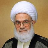 سماحة المرجع الشيخ الخاقاني (مكتب النجف الاشرف)