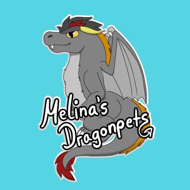 Melina's Dragonpets 💙🐲