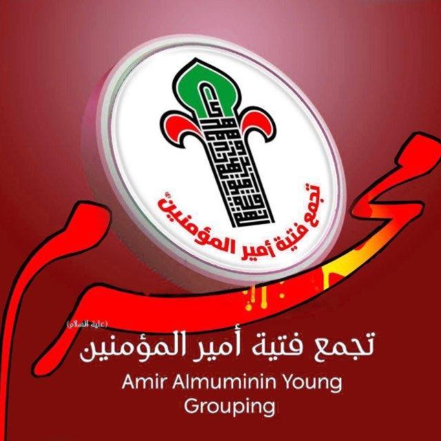 مركز فتية امير المؤمنين ع/فرع حي النصر
