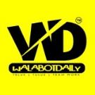 WalabotDaily