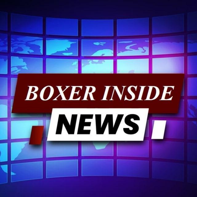 Boxerinside