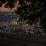 نبض مَقدسِي 🇵🇸.