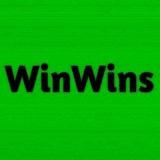 WINWINS MALL