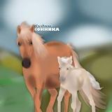 Будни Конника🐎💗🤙🏻