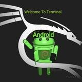 Terminal Commands