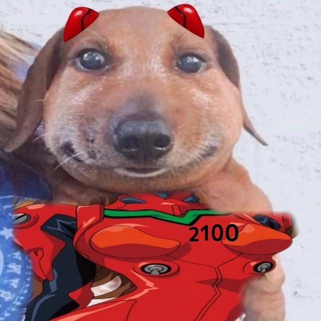 зайчики 2100