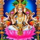 DHAN LAXMI MATKA
