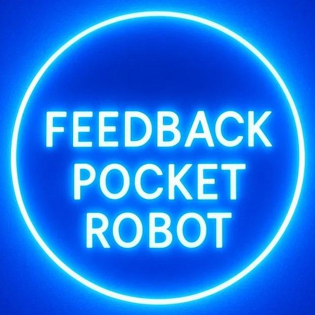 🚀 Feedback | POCKET ROBOT
