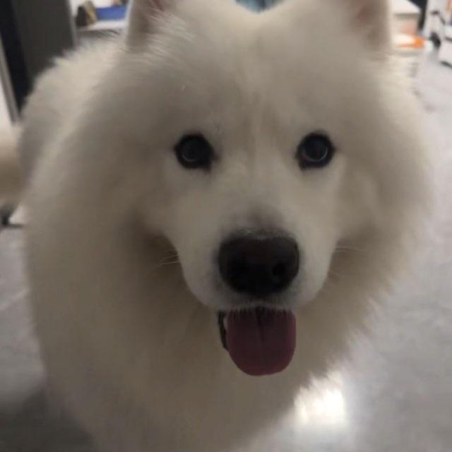 千纯❤️❤️屋中自有颜如玉