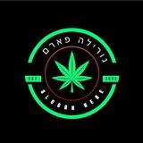 שמן קנאביס רפואי רמת גן פתח תקווה