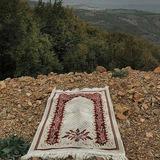 طريق الهُدى .