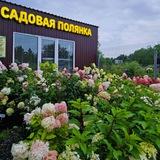 Садовая Полянка🍎
