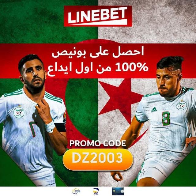 Z33IM — توقعات