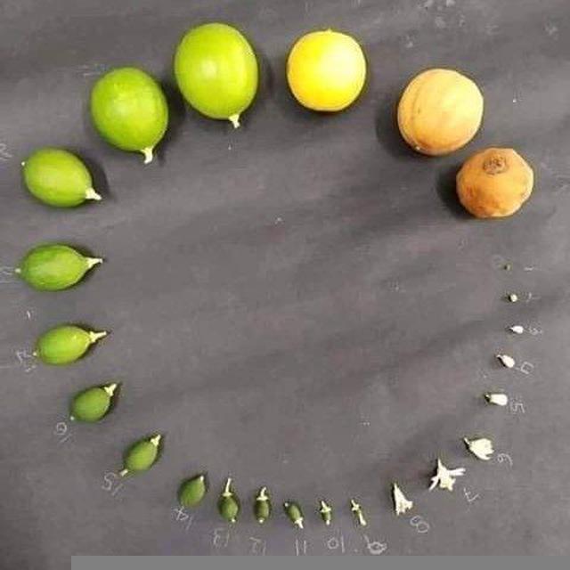 Agronomía mi PASIÓN 👨🏻‍🌾🌱