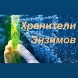 ЭНЗИМЫ г. Ростов на Дону