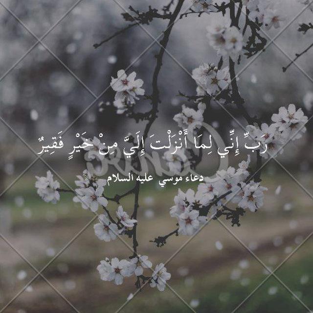 منبه دعاء موسي عليه السلام