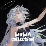 WuWa Collectionˢᶠʷ ⛩️