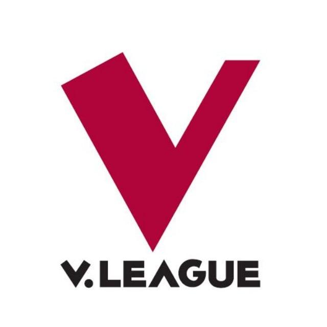 Bóng Đá Việt Nam