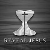 REVEAL JESUS
