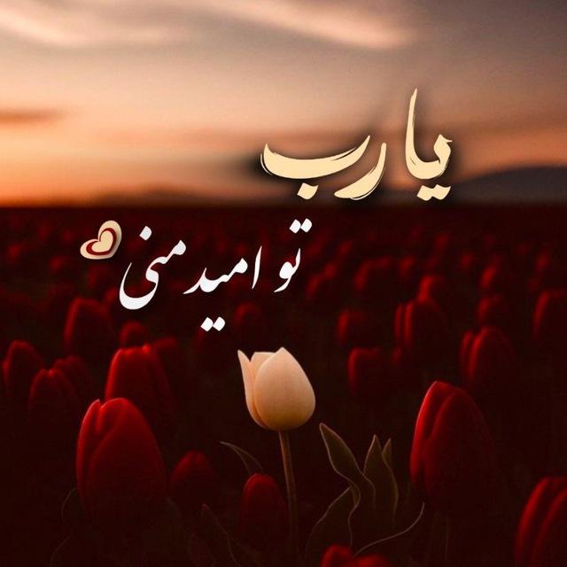 ߊ‌‌ܩࡅ࡙ߺܥ‌ߊ‌‌‌‌ࡅ࣪ߺܘ🇵🇸