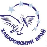 PELIKAN_27