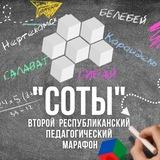Педагогический марафон "СОТЫ"