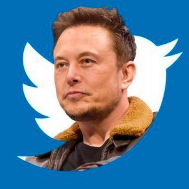 Elon Buys Twitter