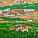 النصارية نيوز || Al-nassaryah News