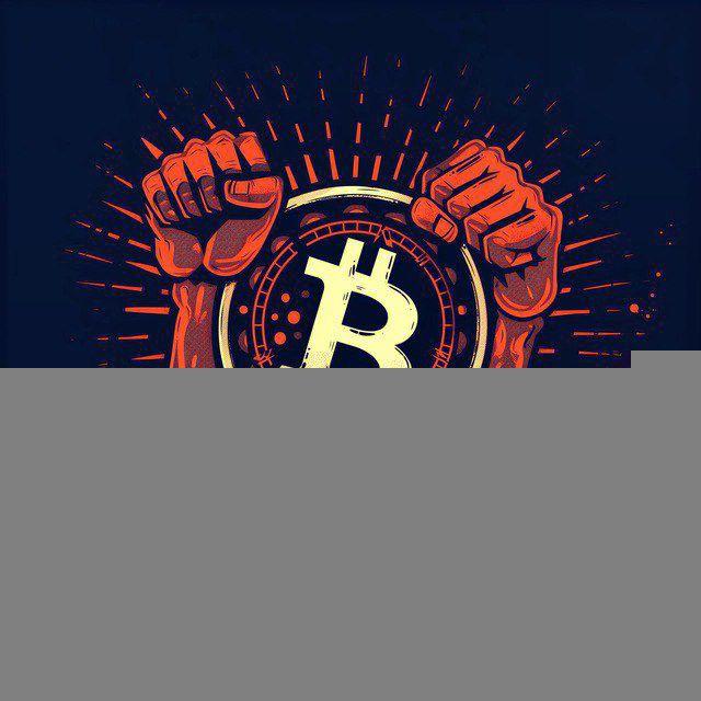 Crypto Bro