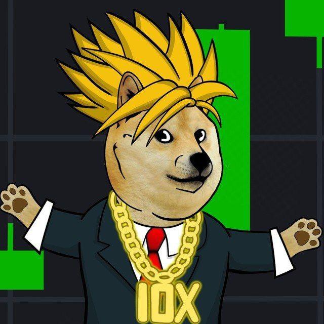 金狗中文群
