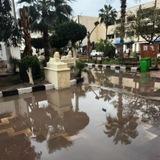 ترببه نوعية كل الفروع 🎭⁦❤️⁩