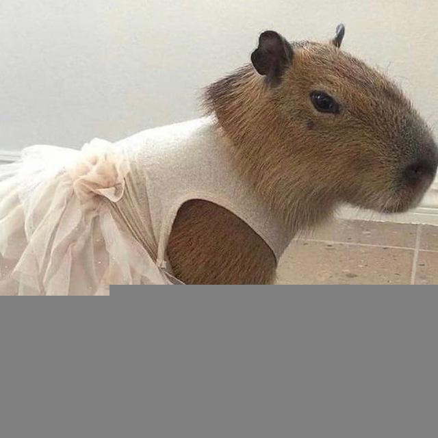 шмотки татианми