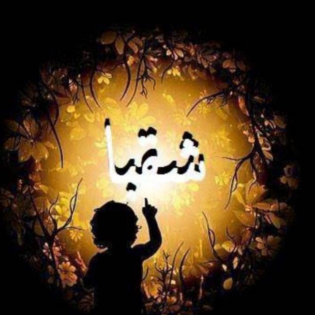 شقبا مباشر🇵🇸