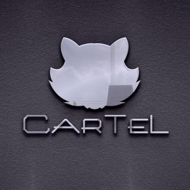 CarTeL Team