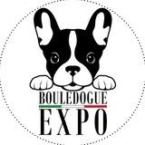 Cuccioli di Bulldog Francese EXPO
