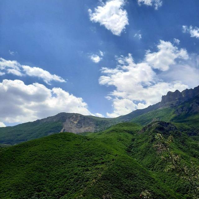 پناه خستگی‌هایم