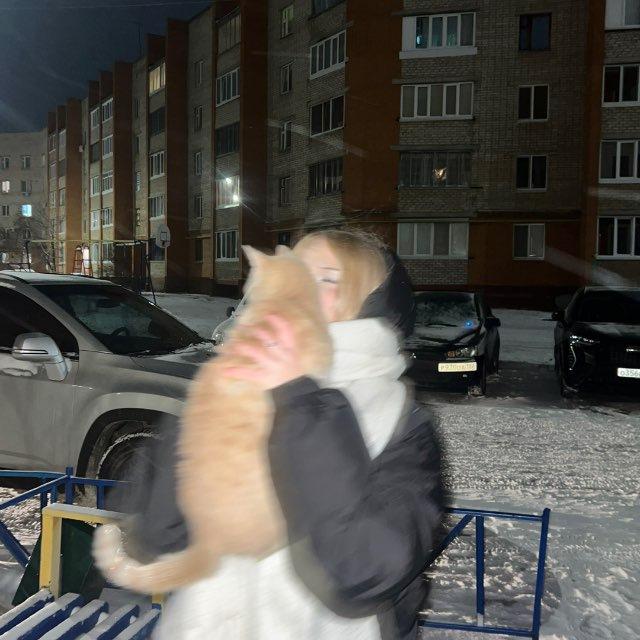 янаобезьянп