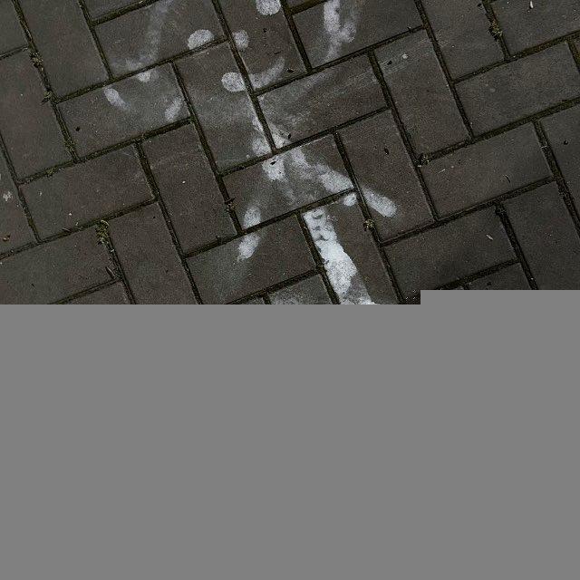 с любовью' Добби