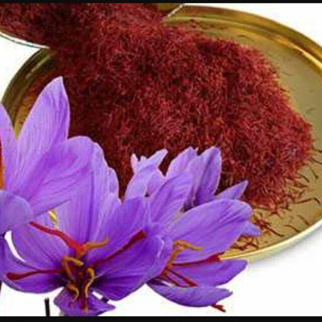 گیاهان دارویی