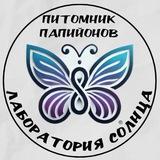 Папийоны из Лаборатории Солнца🌞Papillons from the Lab San Kennel.