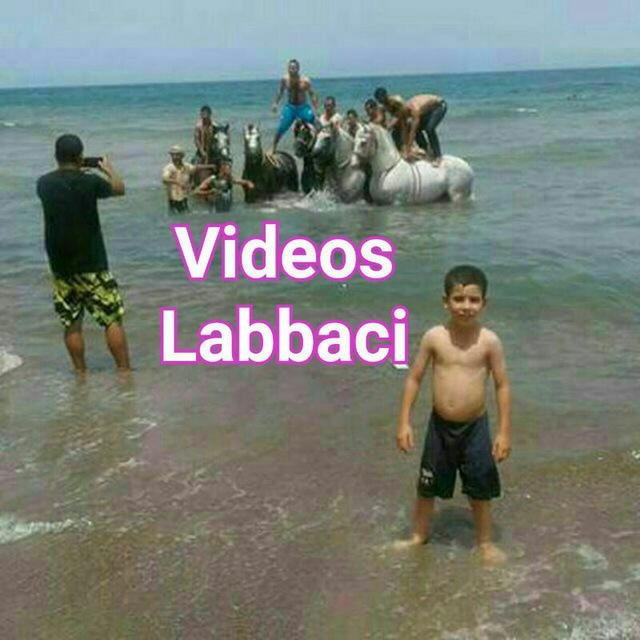 Videos L