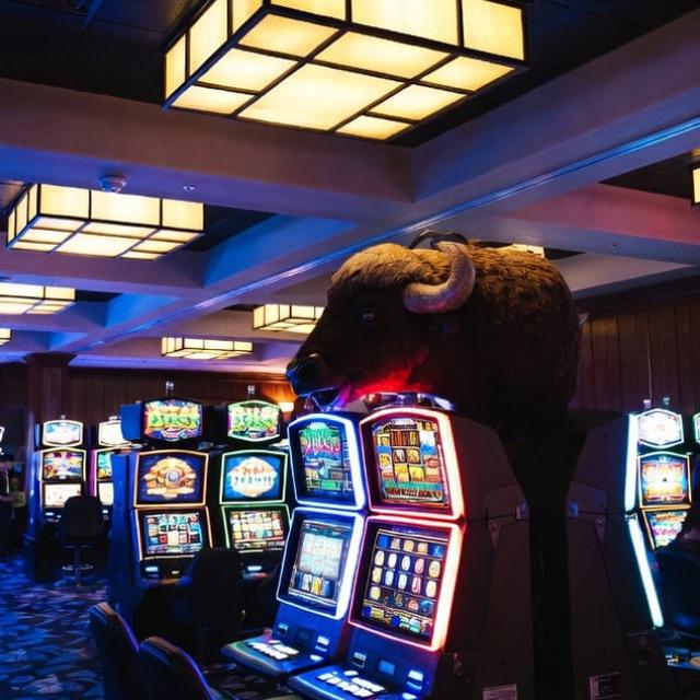 Bison.Casino Bot