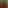 Desi Tomato