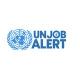 United Nations Job Alert
