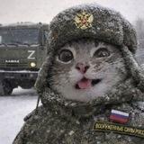 Блогер с лн🇷🇺