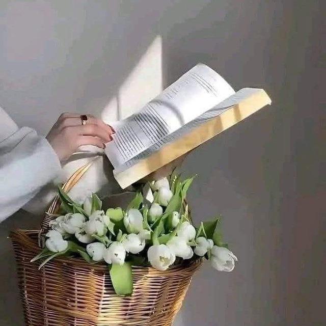 "° مـلاذ الــروح °"™
