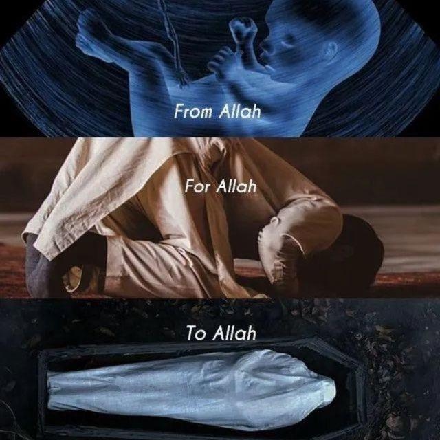 Свет Таухида (Light Of Tawheed)