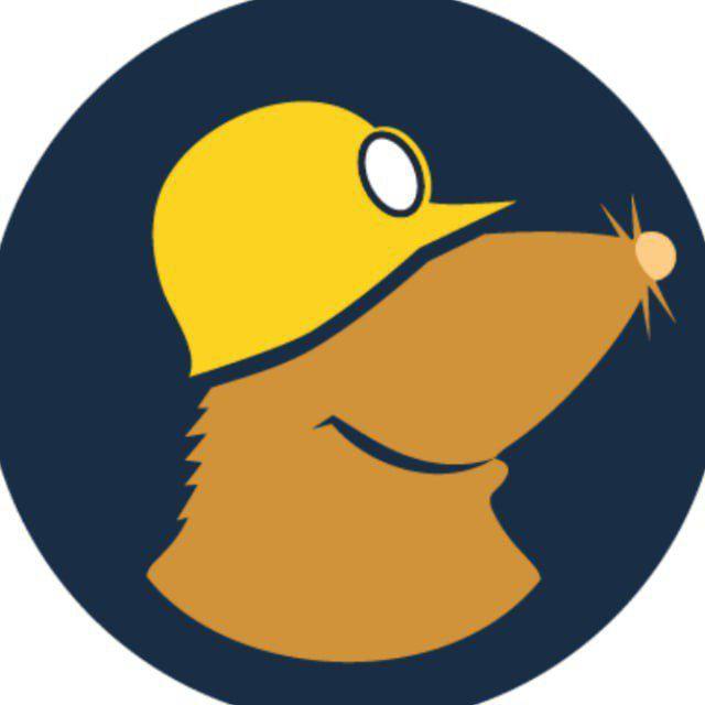 Mullvad vpn 100% Free❤️