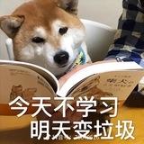 今天你学习了吗
